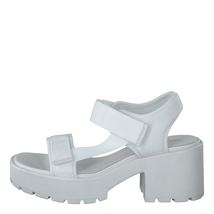 Dioon 4947-080-01 White
