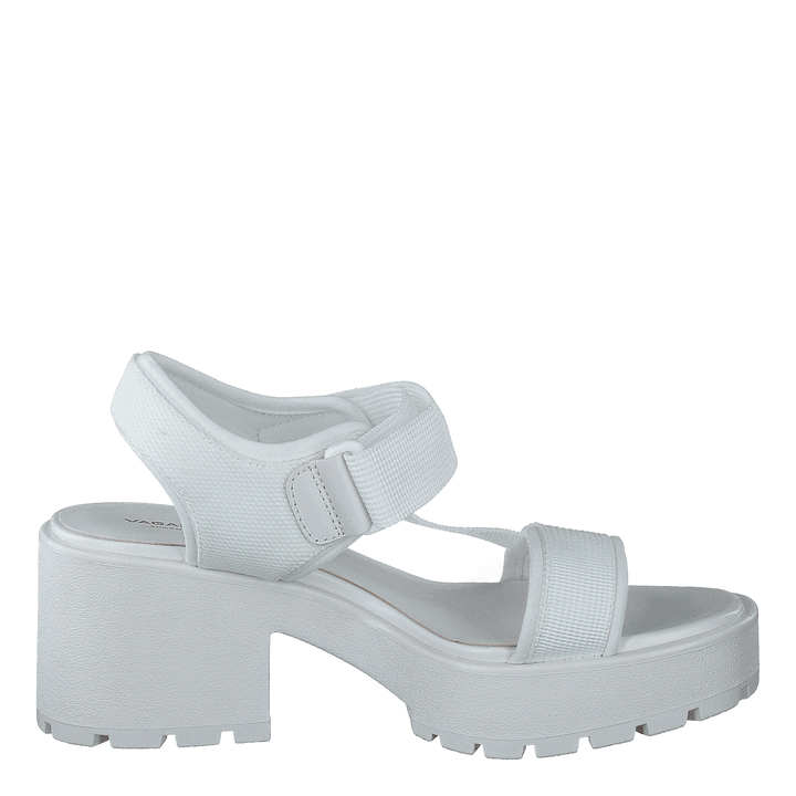 Dioon 4947-080-01 White