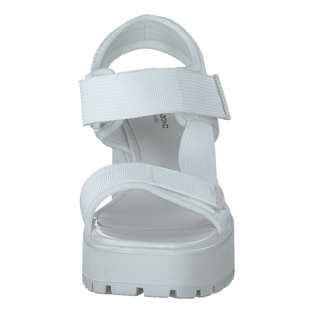 Dioon 4947-080-01 White