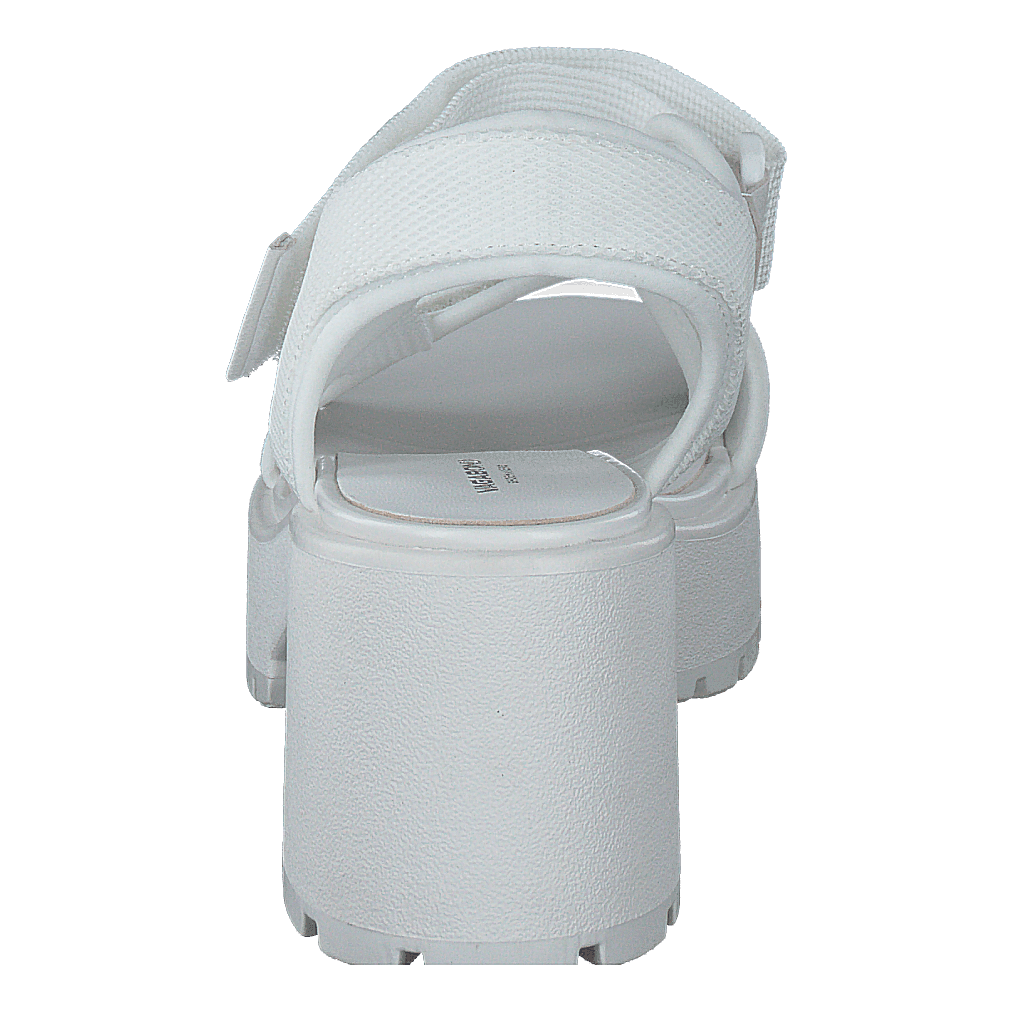 Dioon 4947-080-01 White