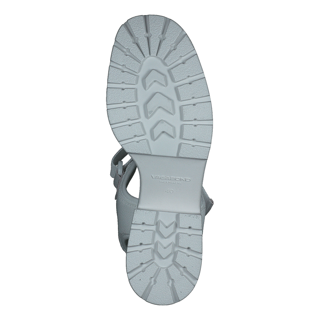 Dioon 4947-080-01 White