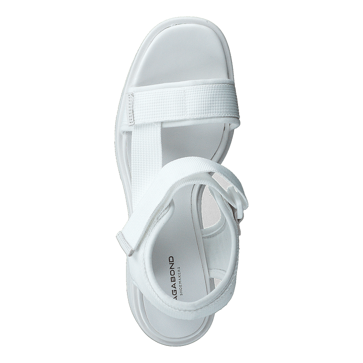 Dioon 4947-080-01 White
