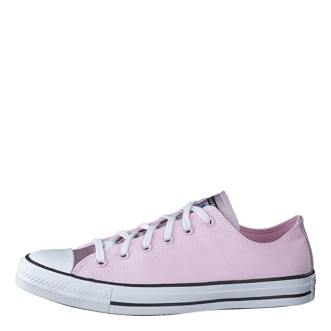 Chuck Taylor All Star Ox Foam Pink - Heppo.com
