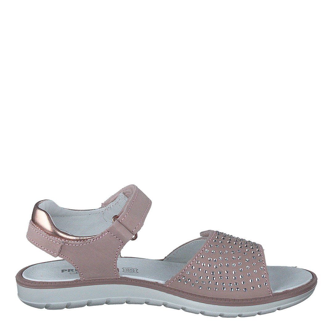Pal 73924 Rosa Sc/cipria