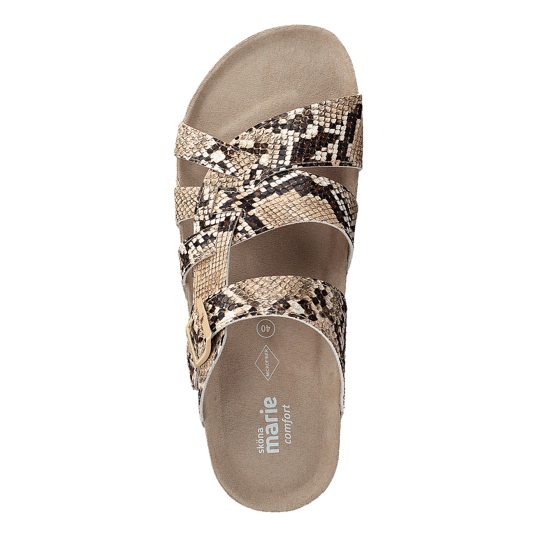 Kelly Beige/snake