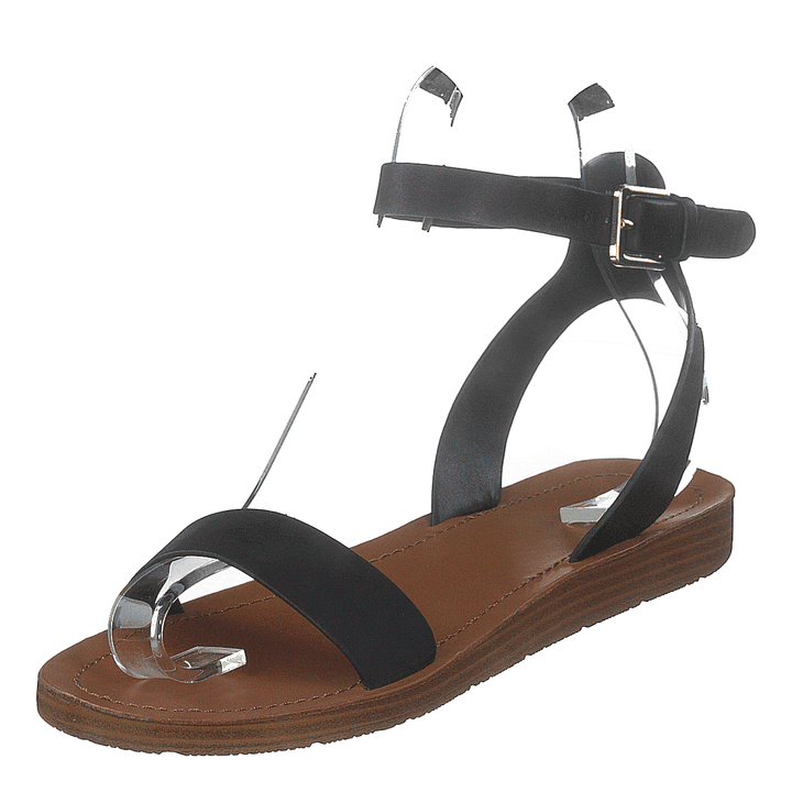 Kedaredia Black