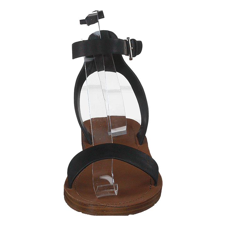 Kedaredia Black