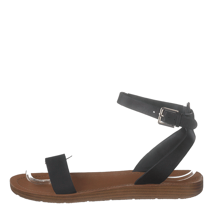 Kedaredia Black