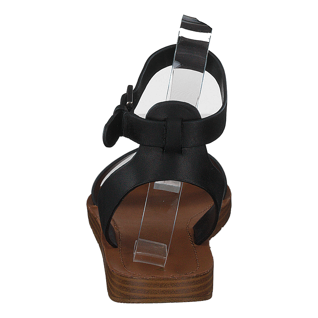 Kedaredia Black