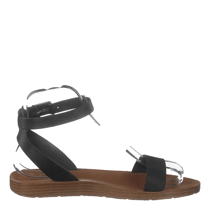 Kedaredia Black