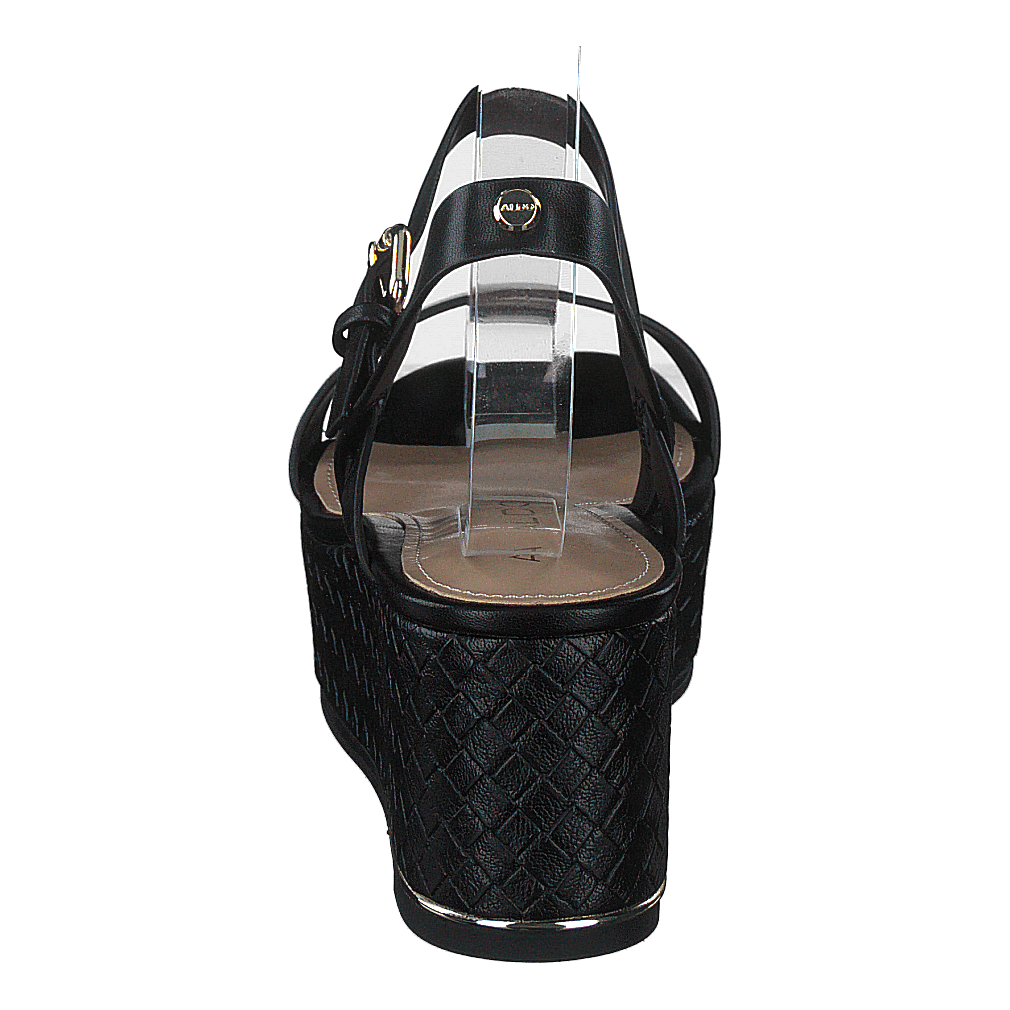 Eloiniel Black
