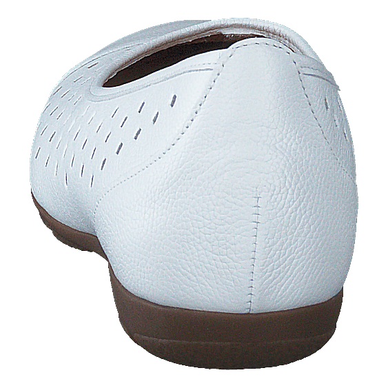 64.169-21 White