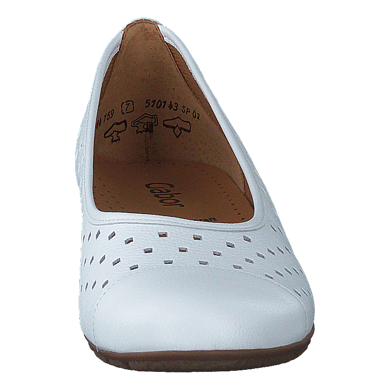 64.169-21 White