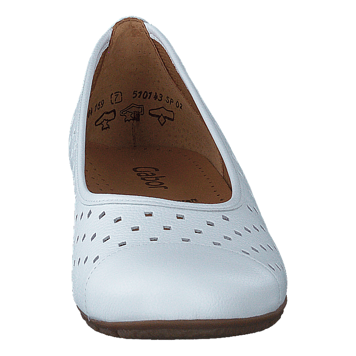 64.169-21 White