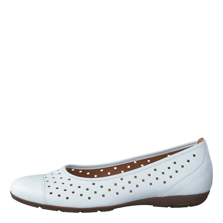 64.169-21 White