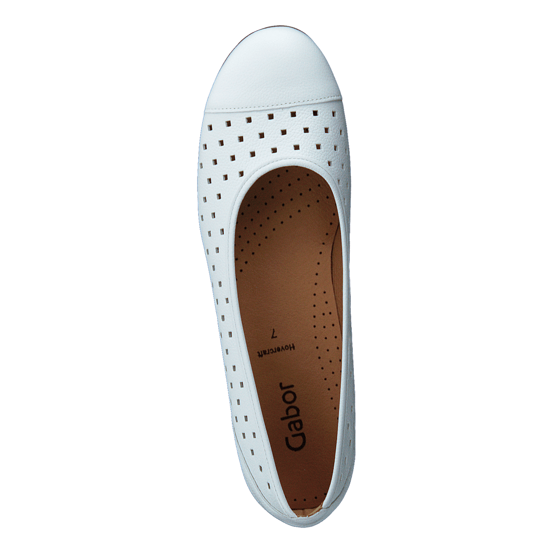 64.169-21 White