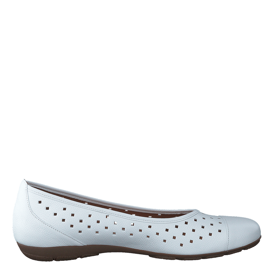 64.169-21 White