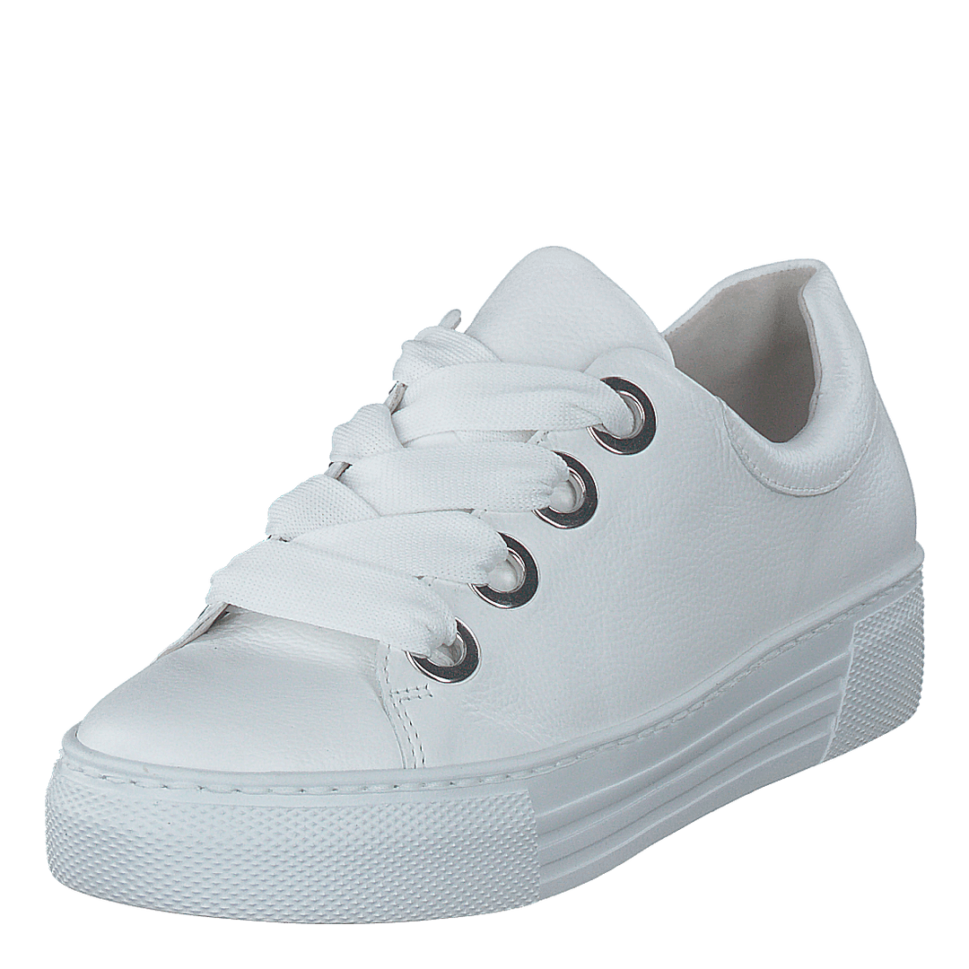 66.464-51 White