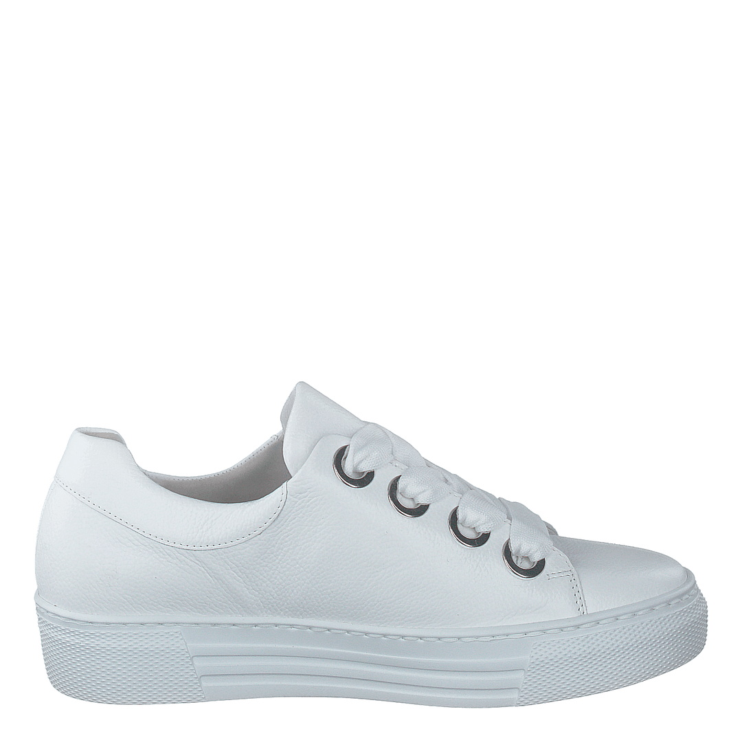 66.464-51 White