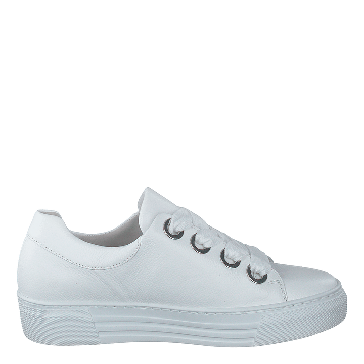 66.464-51 White