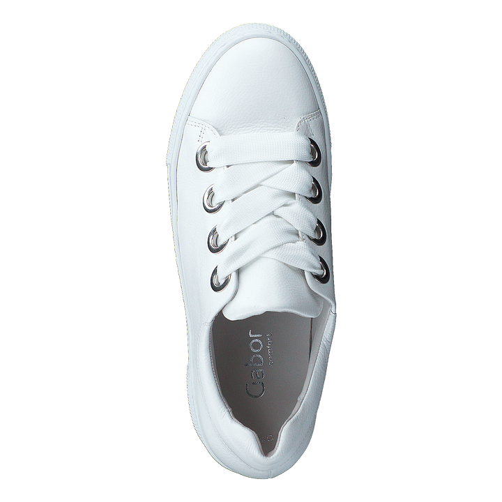 66.464-51 White