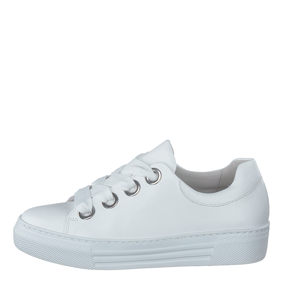 66.464-51 White