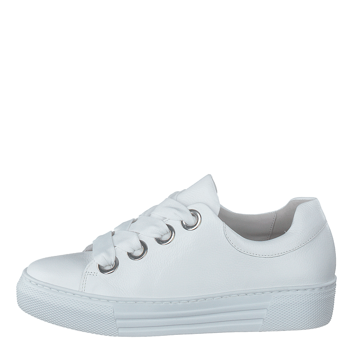 66.464-51 White
