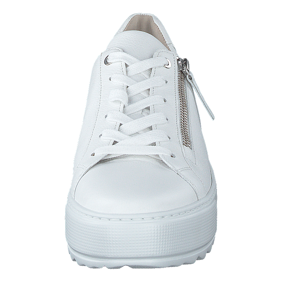 66.498-50 White