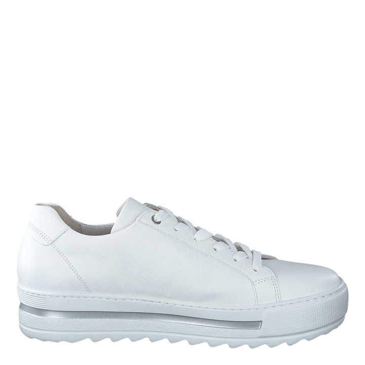 66.498-50 White