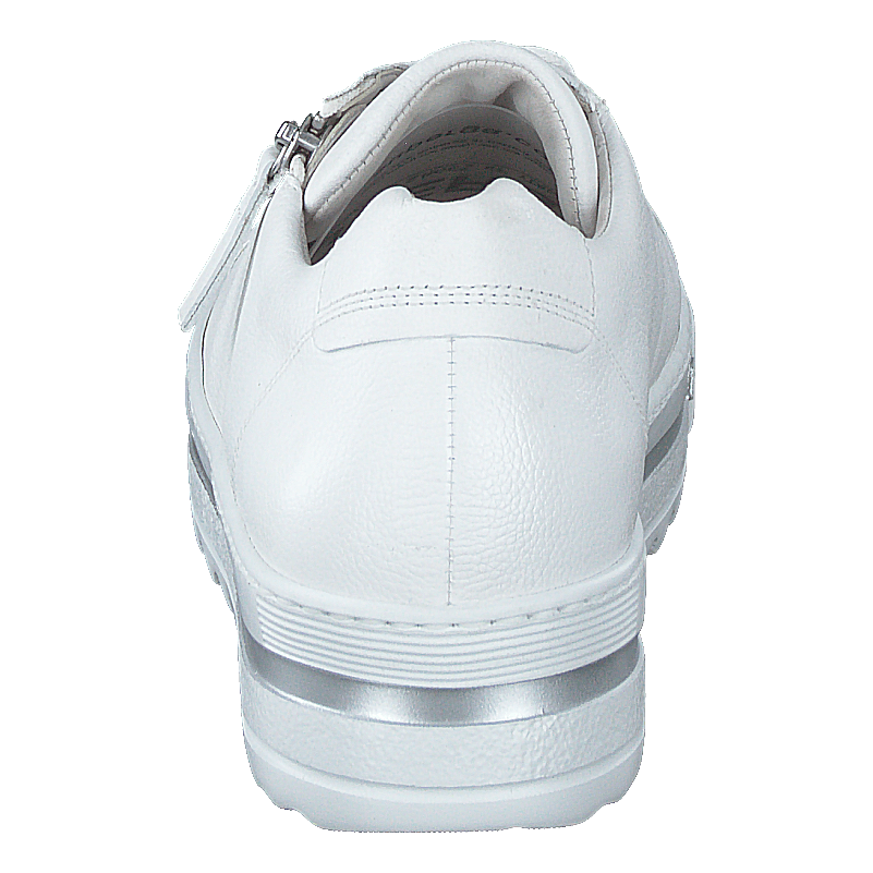 66.498-50 White