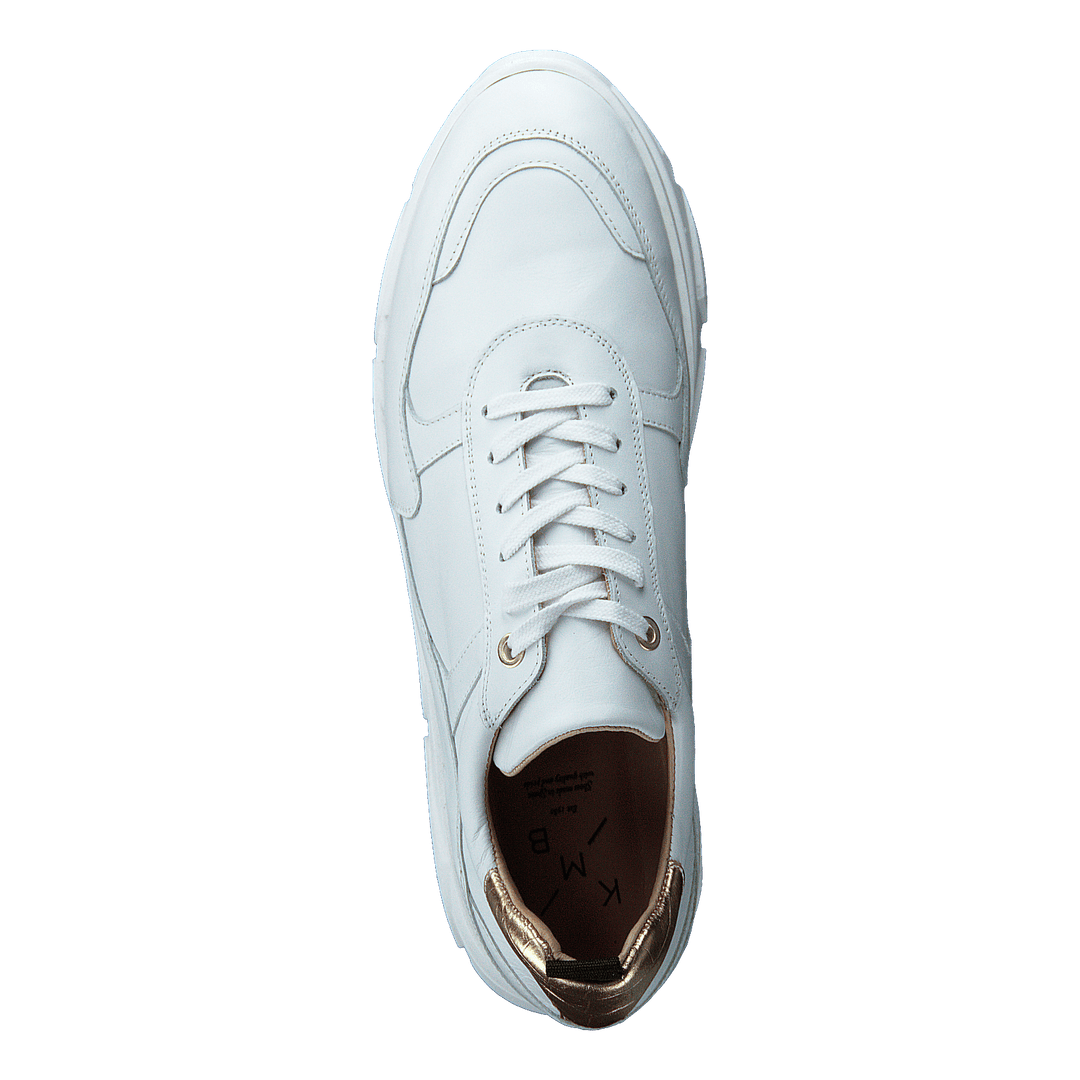 Quingo Bco White + Croc Gold