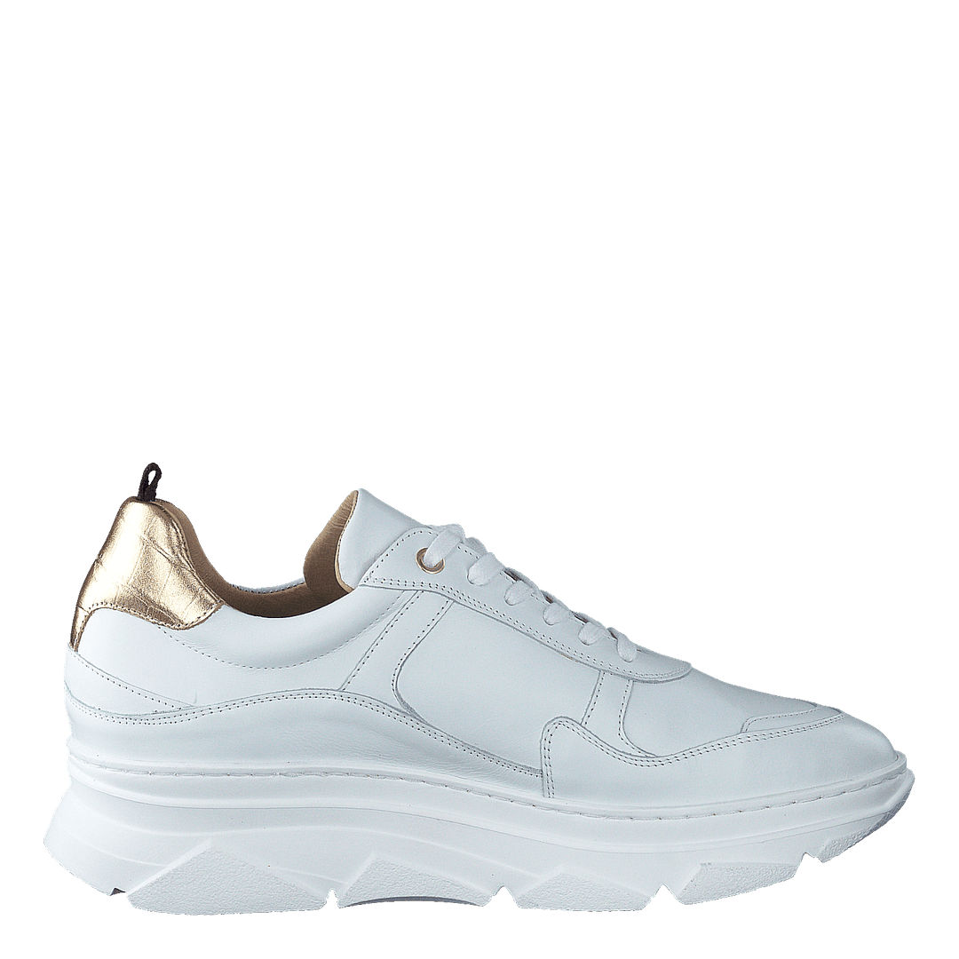 Quingo Bco White + Croc Gold