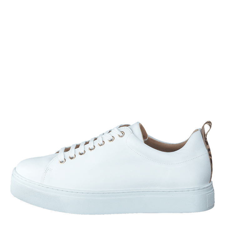 Coacig Bco White + Leo