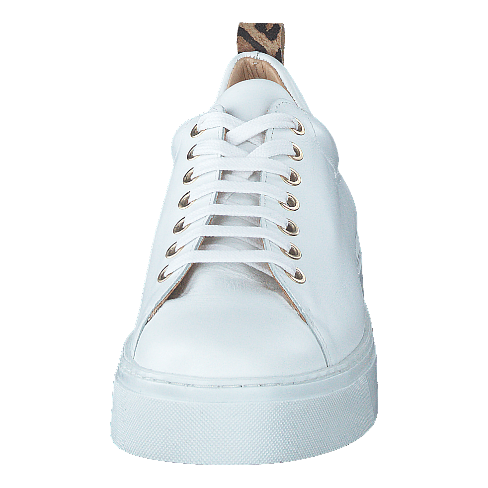 Coacig Bco White + Leo