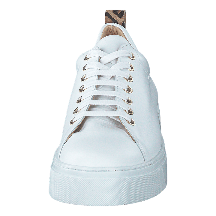 Coacig Bco White + Leo