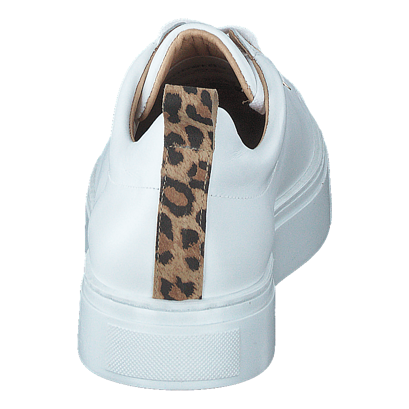 Coacig Bco White + Leo