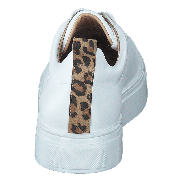 Coacig Bco White + Leo