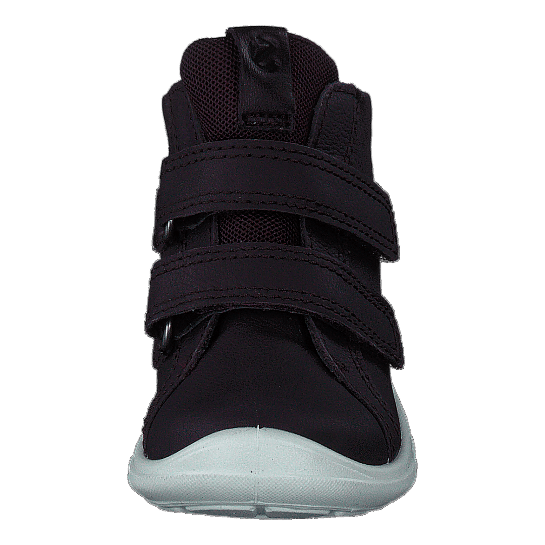 Ecco First Fig (Dark Purple)