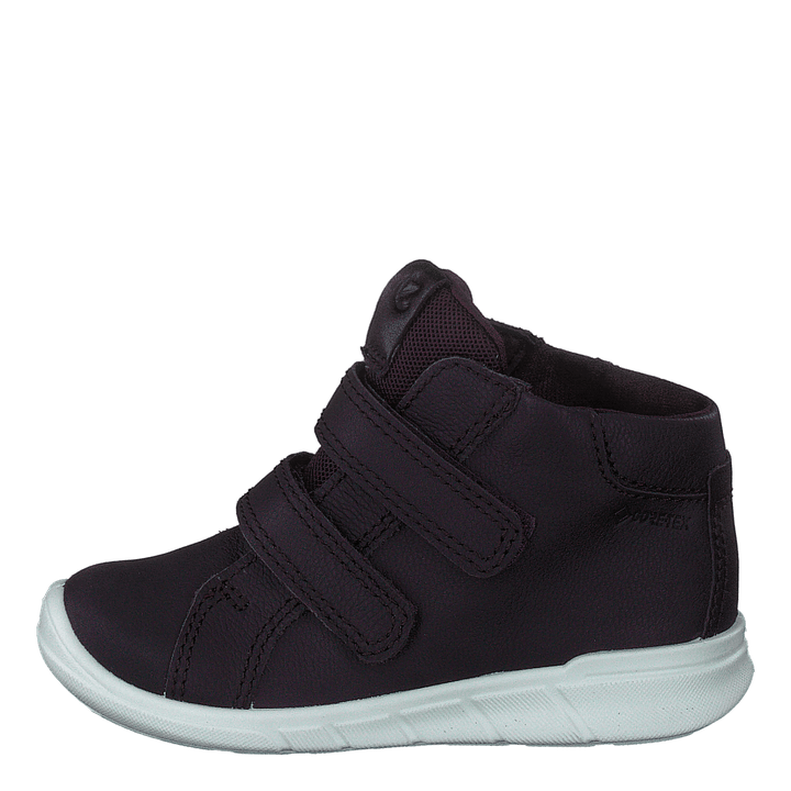 Ecco First Fig (Dark Purple)