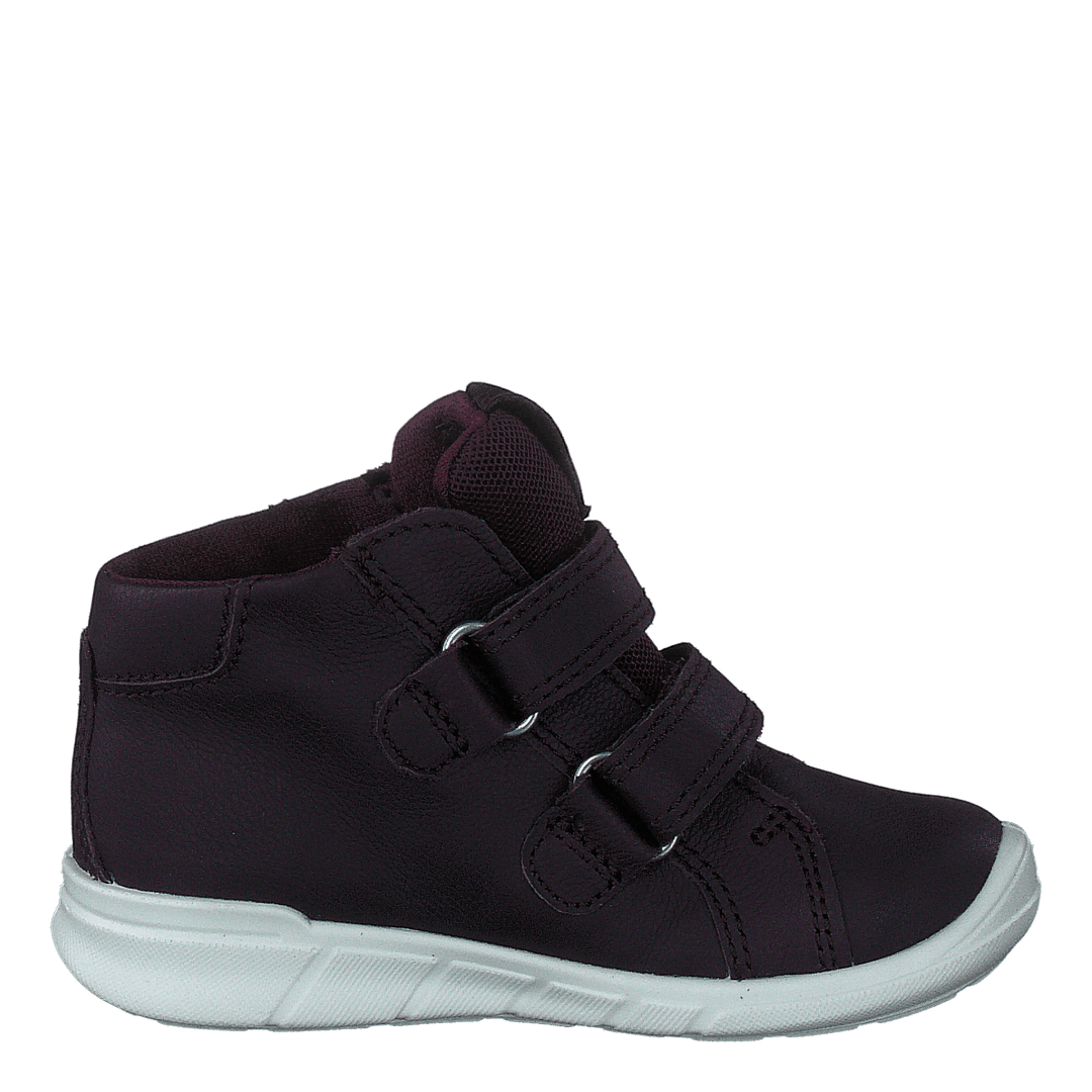 Ecco First Fig (Dark Purple)