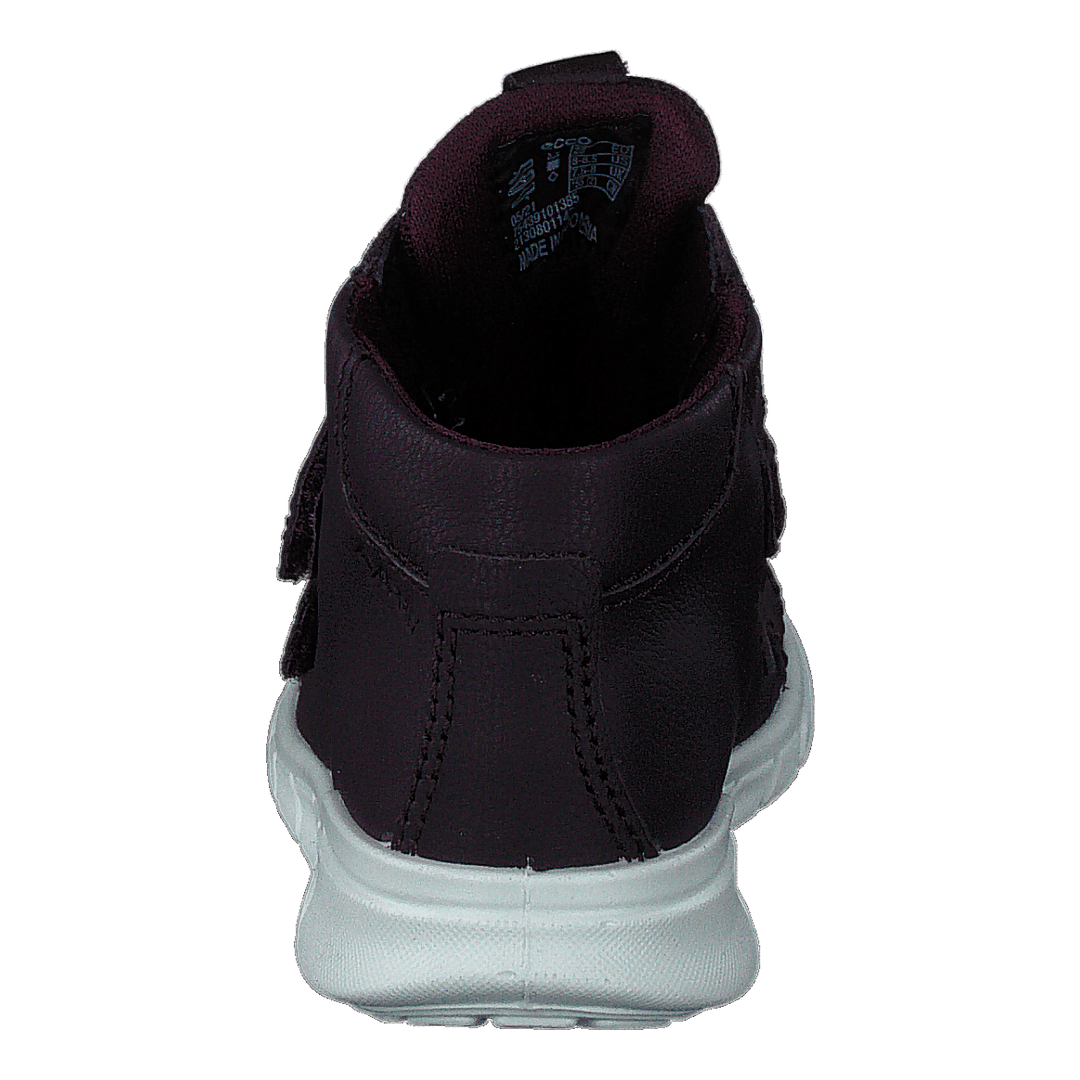 Ecco First Fig (Dark Purple)