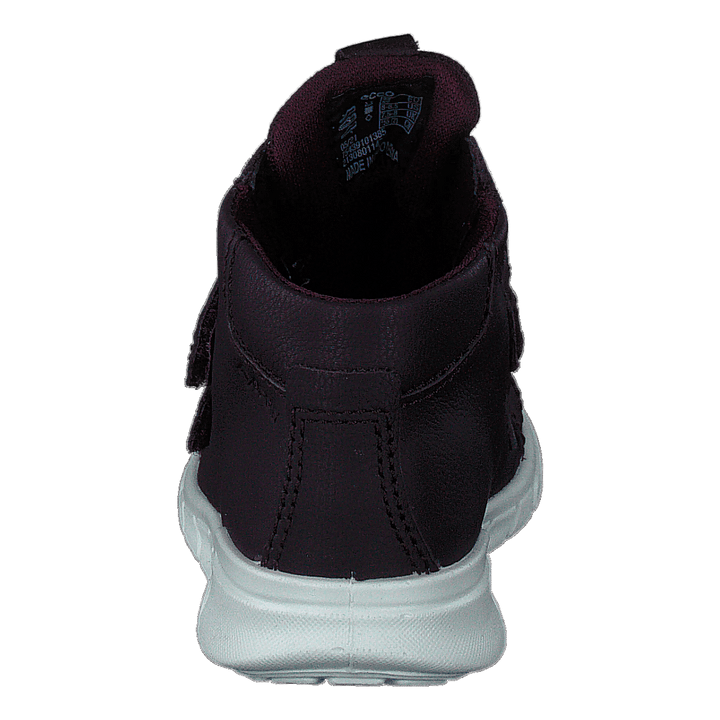 Ecco First Fig (Dark Purple)