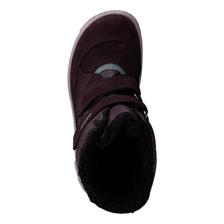 Ecco Biom Hike Infant Fig/shale