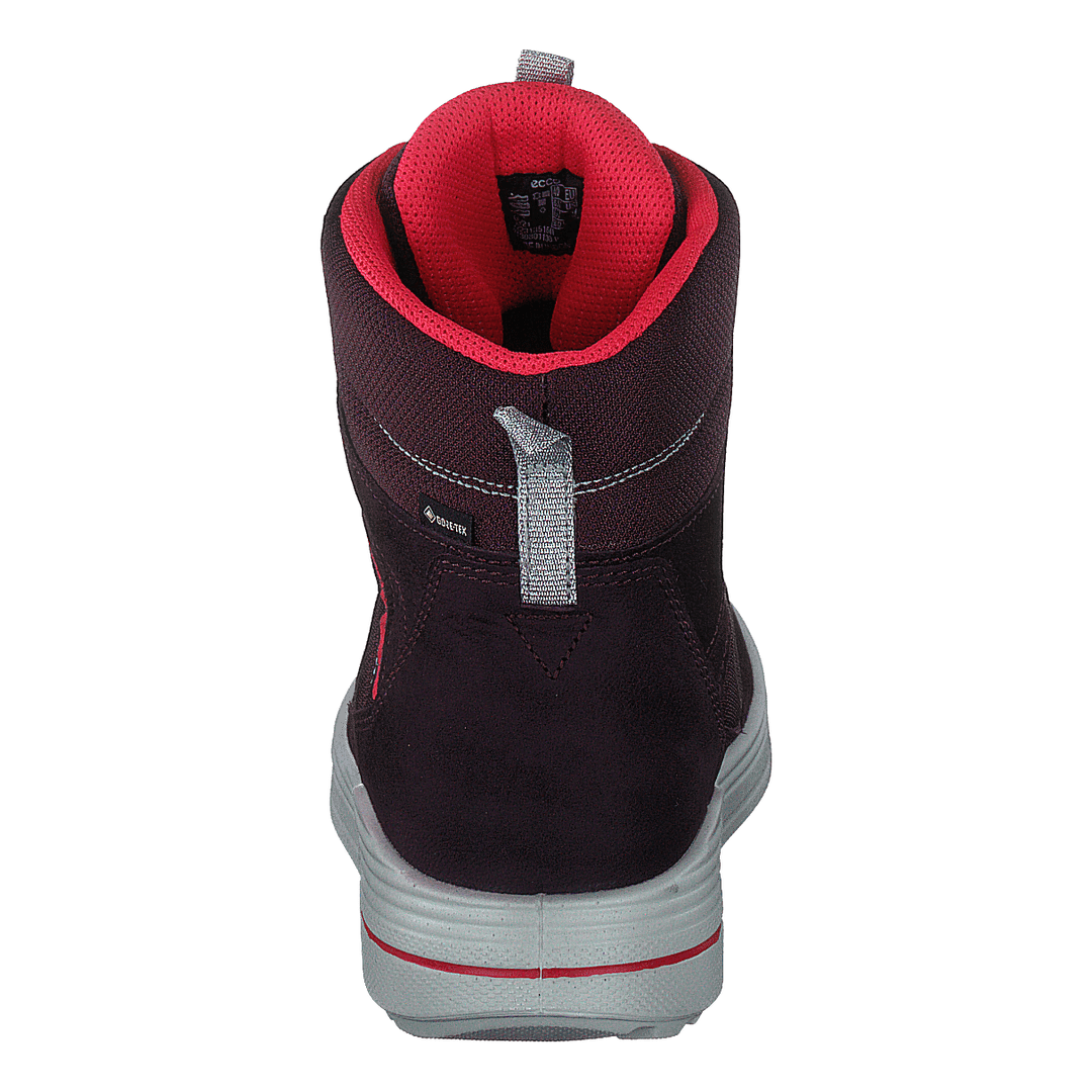 Ecco Urban Snowboarder Fig/teaberry