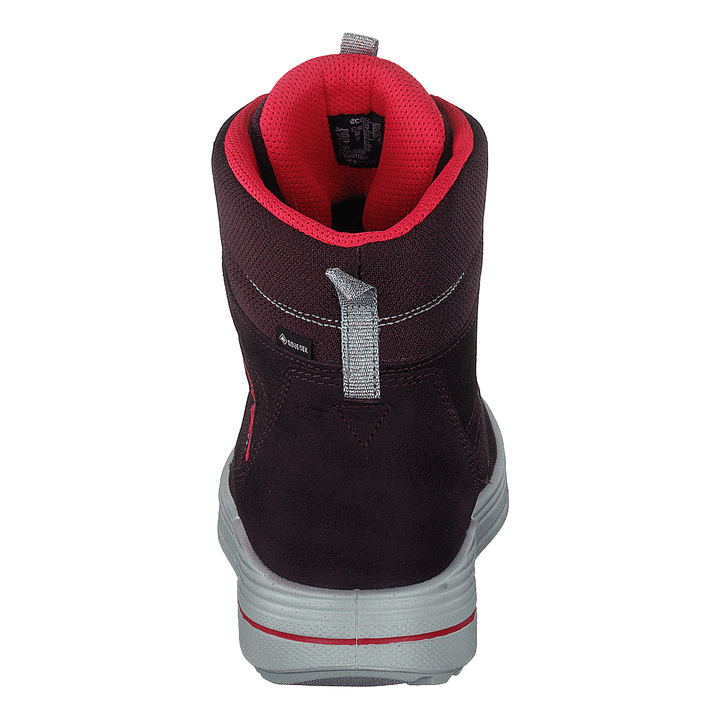 Ecco Urban Snowboarder Fig/teaberry