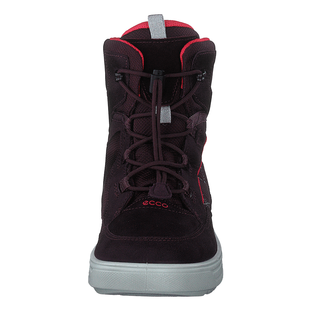 Ecco Urban Snowboarder Fig/teaberry
