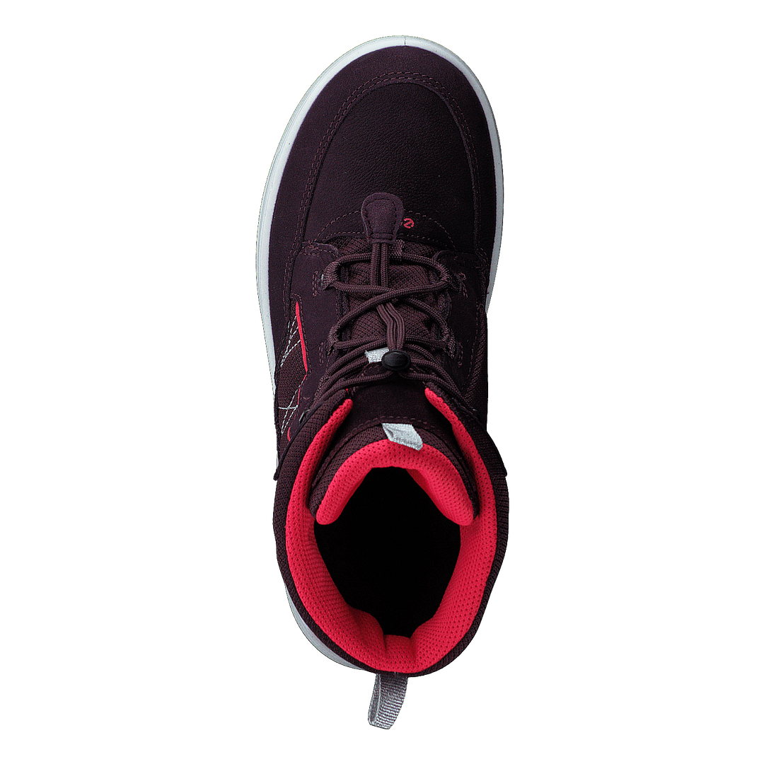 Ecco Urban Snowboarder Fig/teaberry
