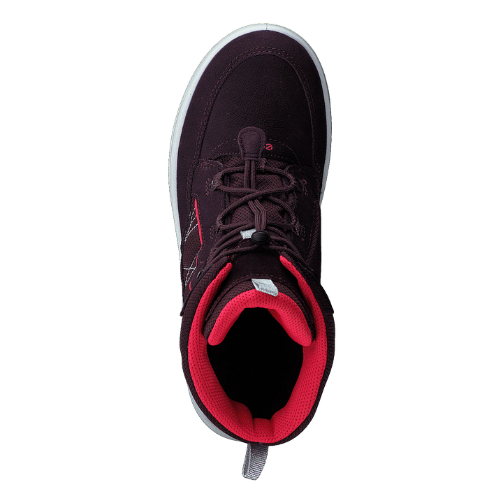 Ecco Urban Snowboarder Fig/teaberry