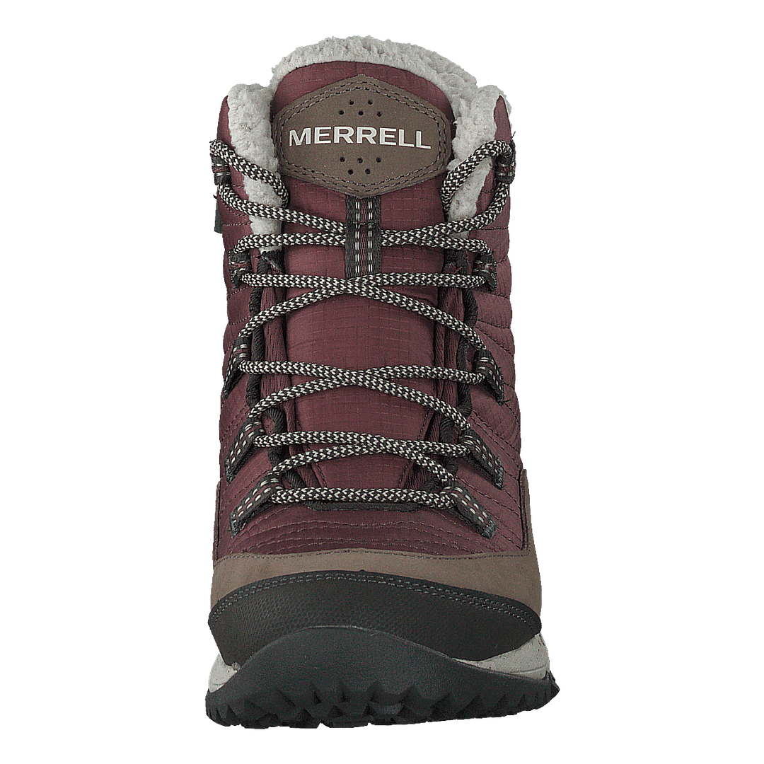 Antora Snekar Boot Marron