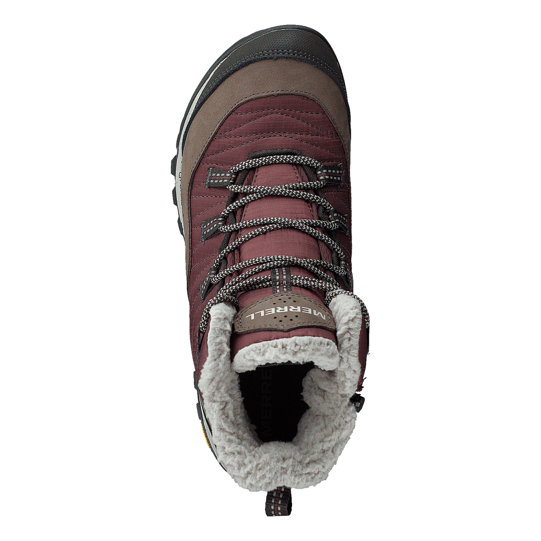 Antora Snekar Boot Marron